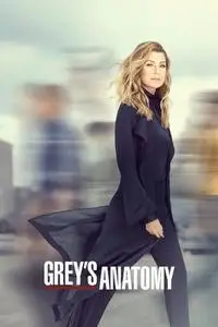 Grey's Anatomy S16E01