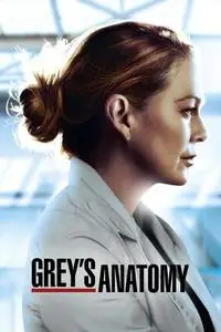 Grey's Anatomy S07E20