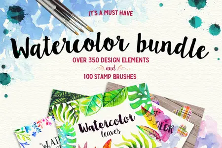 CreativeMarket - 350 Watercolor Elements and Brushes