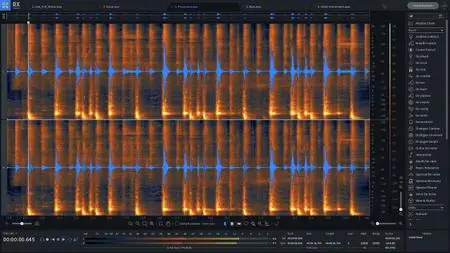 iZotope RX 8 Audio Editor Advanced v8.0.0 MacOSX