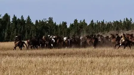 CBC The Nature Of Things - Equus: Story of the Horse: First Riders (2018)