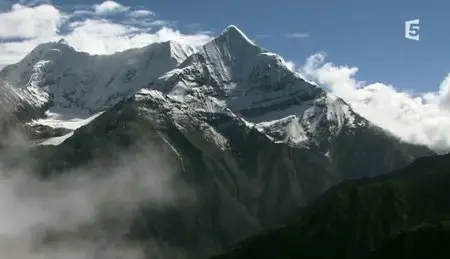 (Fr5) Yarsagumbu, l'or de l'Himalaya (2011)
