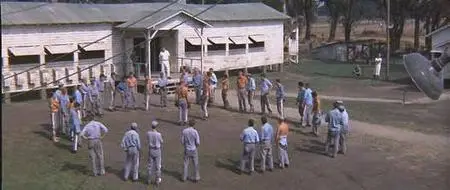 Cool Hand Luke (1967)