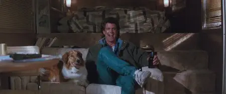 Lethal Weapon 2 (1989)