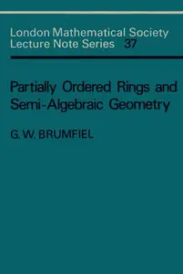 Partially Ordered Rings and Semi-Algebraic Geometry