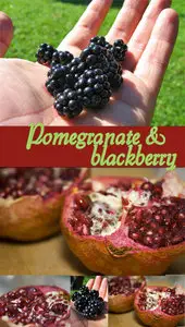 Pomegranate and blackberry