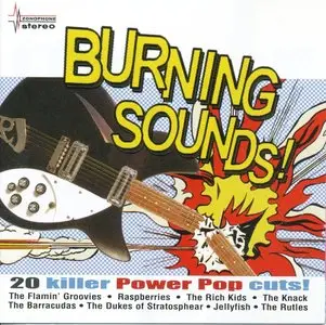 VA - Burning Sounds: 20 Killer Power Pop Cuts! (2007)
