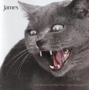 James - Albums Collection 1986-2010 (12CD)