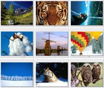 WebShots Collection. Part 20 