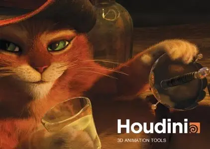 SideFX Houdini FX 13.0.314 (64bit)