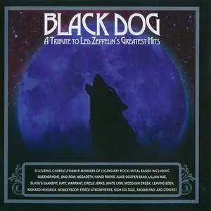 VA - Black Dog: A Tribute To Led Zeppelin's Greatest Hits (2CD) (2014) {Versailles/MVD Entertainment Group}