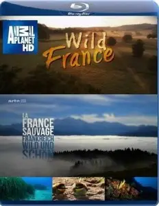 Wild France / La France sauvage (2011) 