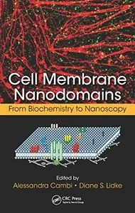 Cell Membrane Nanodomains: From Biochemistry to Nanoscopy (repost)