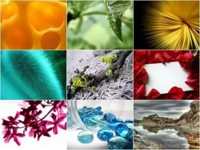 24 HQ Nature WallPapers