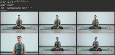 Yogabasics Kompletter Yogakurs : 20 Stunden Yoga Einsteiger