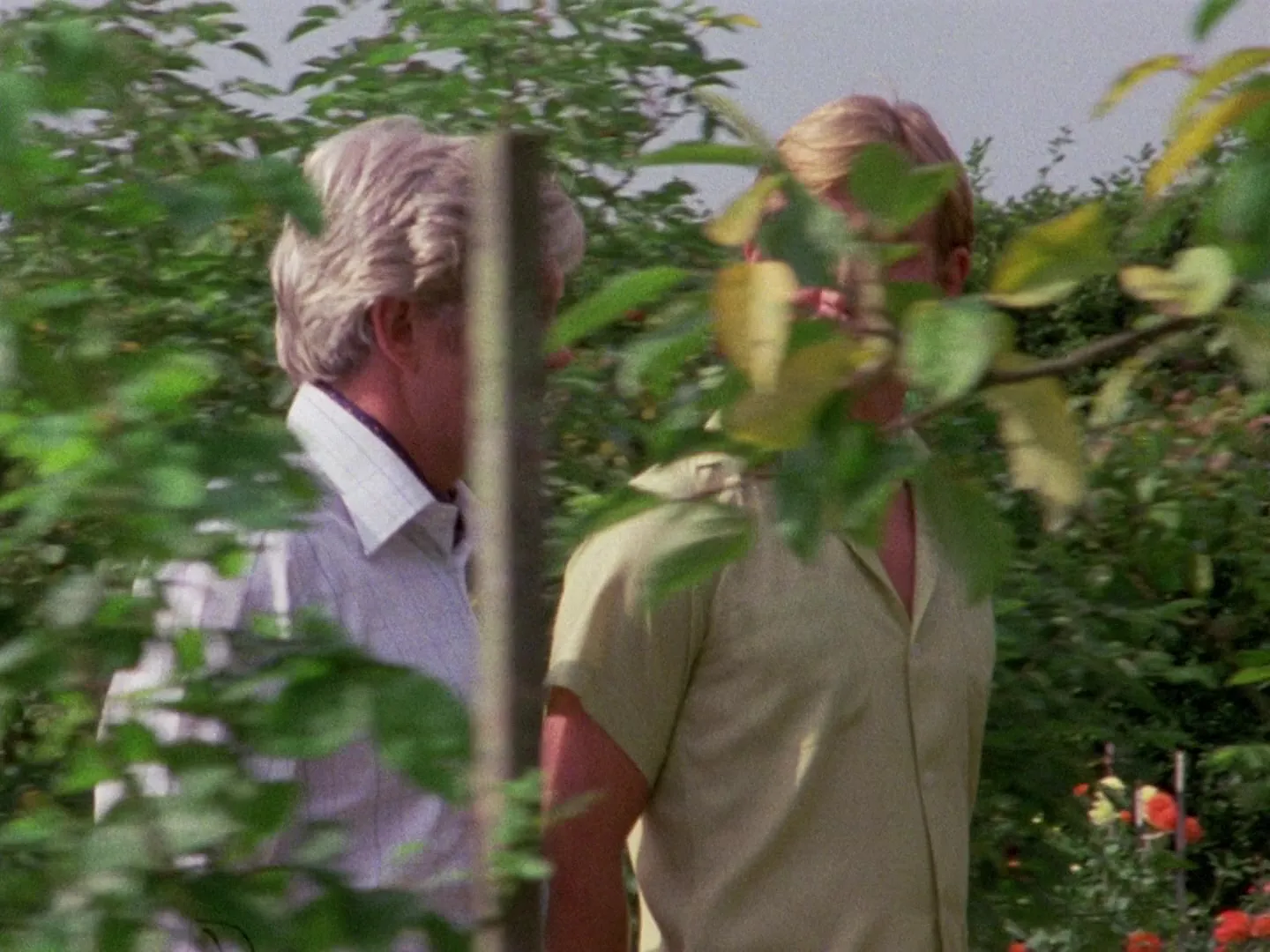The Ice House (1978)