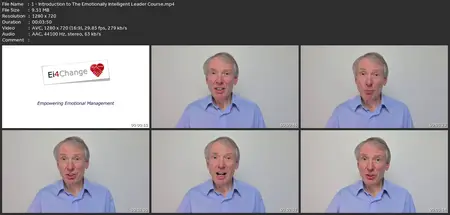 Leadership: The Emotionally Intelligent Leader