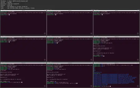 Scripting for Security with Bash
