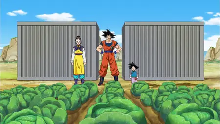 Dragon Ball Super (2015 S04E01 SOS from the Future A Dark New Enemy Appears! ZR