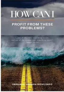 How Can I Profit From These Problems?: John Maxwell