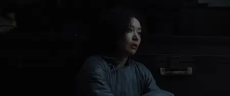 Nan Jing zhao xiang guan / Dead to Rights (2025)