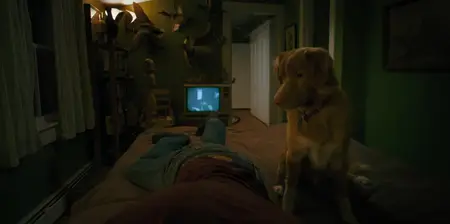 Good Boy (2025)