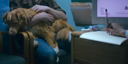 Good Boy (2025)