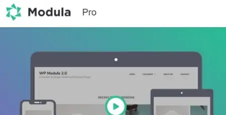 Modula Pro v2.10.9 - Best WordPress Image Gallery