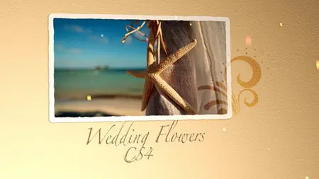 Wedding Flowers CS4 - Project for After Effects (Videohive)