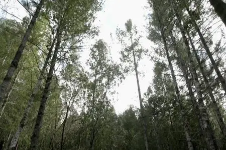 Murder Mountain S01E04