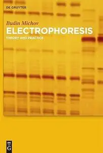 Electrophoresis: Theory and Practice