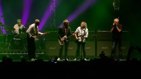 Status Quo - The Frantic Four Reunion: Live At Wembley Arena (2013) [BDR]