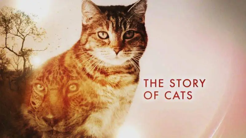 ITV - The Story of Cats: Series 1 (2016)