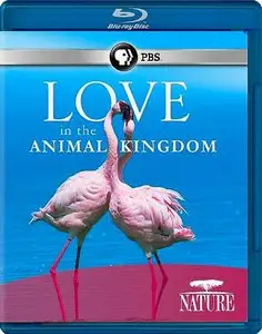 Love in the Animal Kingdom (2013)