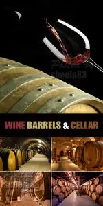 Stock Photo - Wine Barrels & Wine Cellar