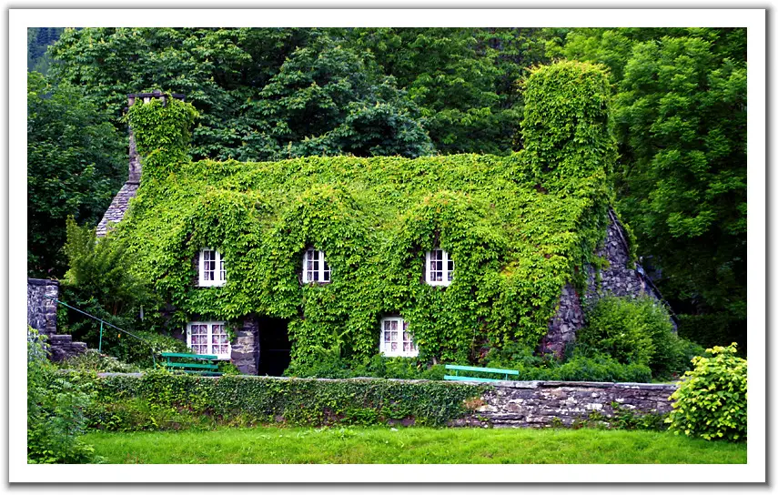 Ireland houses. Макрос Хаус Ирландия усадьба. Домик в зелени. Дом в Ирландии. Зелень дома.