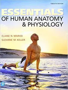 Essentials of Human Anatomy & Physiology Plus Mastering A&P with Pearson eText -- Access Card Package