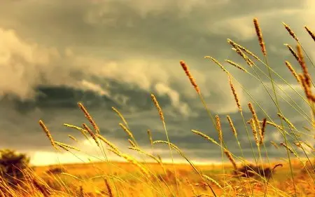 Wallpapers - Nature (pack 15) 