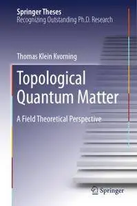 Topological Quantum Matter: A Field Theoretical Perspective