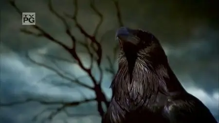 The Real Story of Halloween (2010)