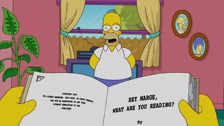 Die Simpsons S21E24