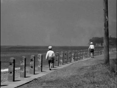 Yasujiro Ozu-Bakushû ('Early Summer') (1951)