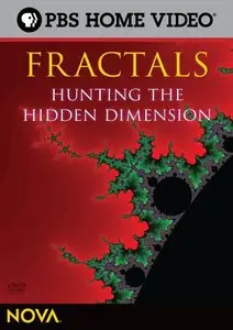 PBS - Fractals: Hunting the Hidden Dimension (2010)