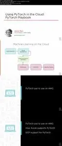 Using PyTorch in the Cloud: PyTorch Playbook