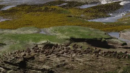 Hilbre (2015) in 4K