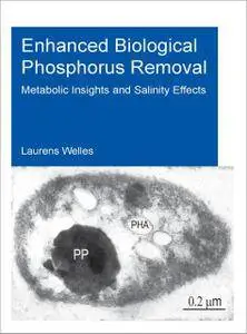 Enhanced Biological Phosphorus Removal: Metabolic Insights and Salinity Effects