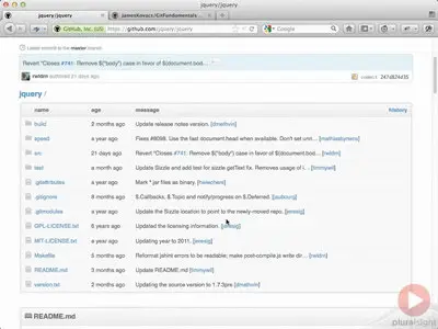 Git Fundamentals