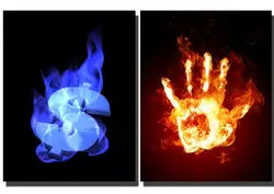Vector Fire