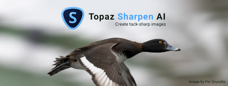 Topaz Sharpen AI v2.1.0 (x64) Portable
