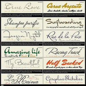 Collection of Charles Bluemlein Scripts Fonts